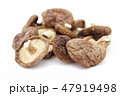 干し椎茸 干し椎茸 47919498