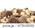 干し椎茸 干し椎茸 47919500