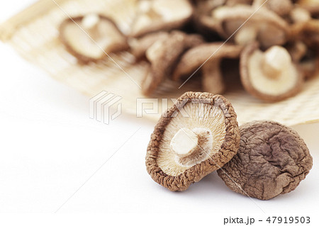 干し椎茸 干し椎茸 47919503