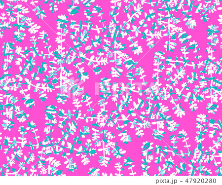 ニシキ２ 47920280