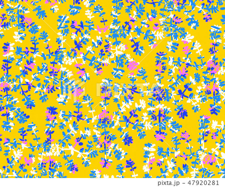 ニシキ１ 47920281