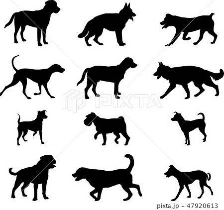 dogs silhouettes collection 2 47920613
