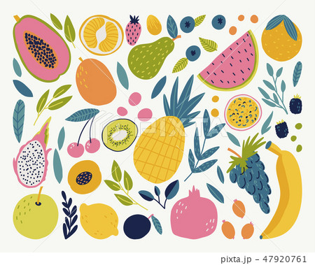 Vector food set for your design. Vector food set for your design. 47920761