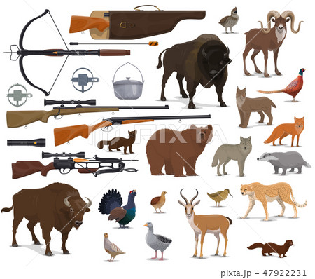 Hunting ammo, hunter trophy animals Hunting ammo, hunter trophy animals 47922231