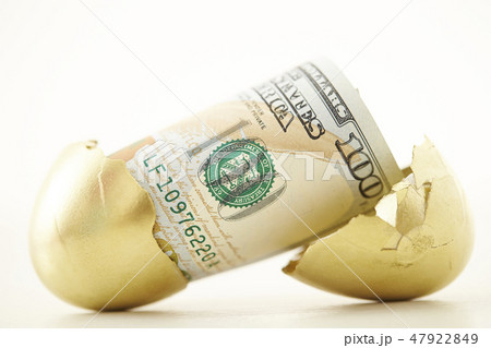 金の卵とアメリカ紙幣　100ドル札　白背景 47922849