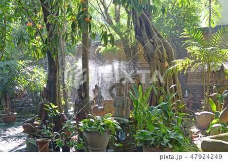 garden garden 47924249