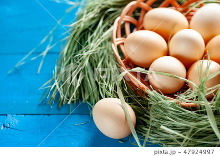 chicken eggs basket on the hey 47924997