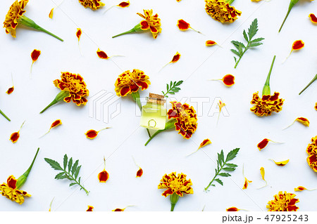 Essential oils of marigold flower Essential oils of marigold flower 47925243