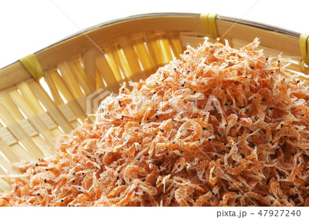 オキアミ19 オキアミ19 47927240