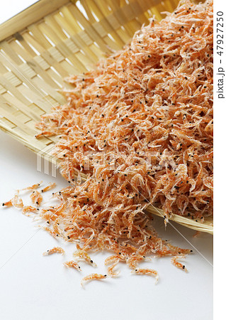 オキアミ9 オキアミ9 47927250