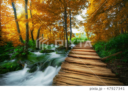 Beautiful wooden path in Plitvice Lake, Croatia. 47927341