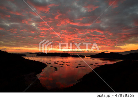 虫明湾の朝焼け 47929258