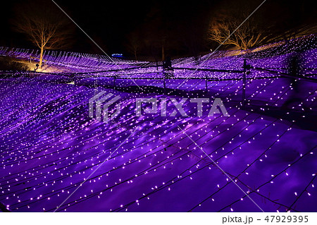 石神の丘美術館イルミネーション 石神の丘美術館イルミネーション 47929395