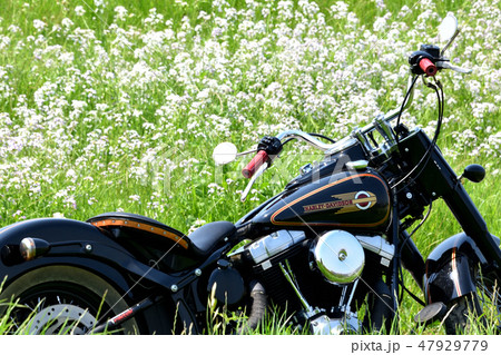 花とバイク 47929779