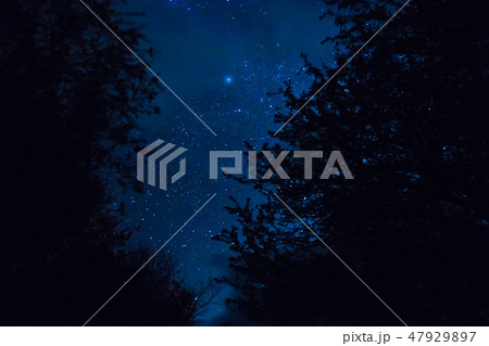 木々と雲の切れ間から見えた星 木々と雲の切れ間から見えた星 47929897