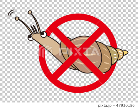 アフリカマイマイのイラスト 47930186