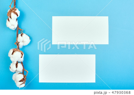 Flat lay of light blue background with branch of cotton flower. Cotton and blank paper. Flat lay Flat lay of light blue background with branch of cotton flower. Cotton and blank paper. Flat lay 47930368