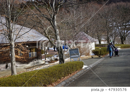 冬の動物公園 冬の動物公園 47930576