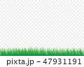 green grass isolate on white background 47931191