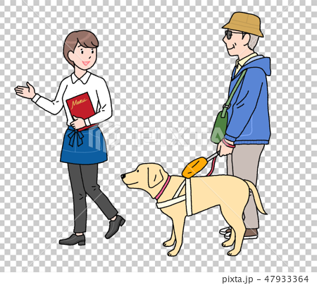 日本ユニバーサルマナー協会監修素材　盲導犬と店へ１ 47933364