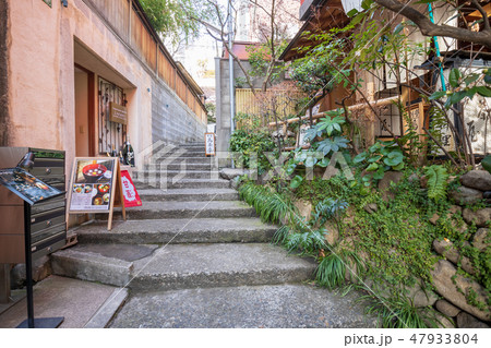 神楽坂 石畳みが残る大人の街 神楽坂 石畳みが残る大人の街 47933804