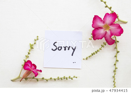 sorry message card handwriting with flower sorry message card handwriting with flower 47934415
