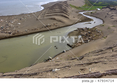 自然 天然 ナチュラル 47934714