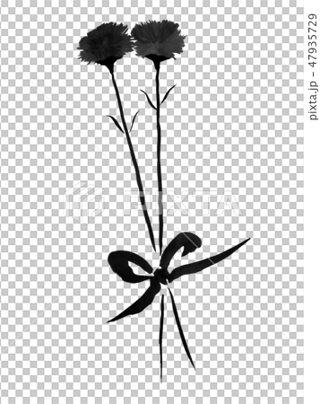 Carnation gift ink painting illustration gray handwritten 47935729