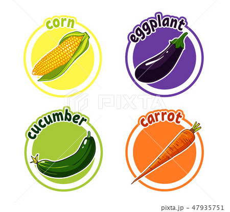 Four stickers with different vegetables. Corn, eggplant, cucumber and carrot. Four stickers with different vegetables. Corn, eggplant, cucumber and carrot. 47935751