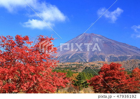 世界遺産 富士山 秋 紅葉 西臼塚 静岡 世界遺産 富士山 秋 紅葉 西臼塚 静岡 47936192