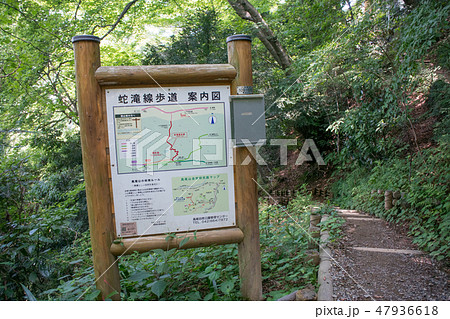 高尾山　蛇滝コース（じゃたきコース）　登山道　1号路からの下山路 47936618