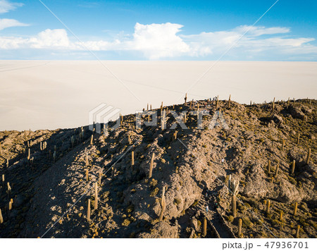 Cactus island in the Bolivian salt flat of Uyuni 47936701