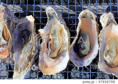 牡蠣・牡蛎・カキ_七輪で炭焼き 47936706