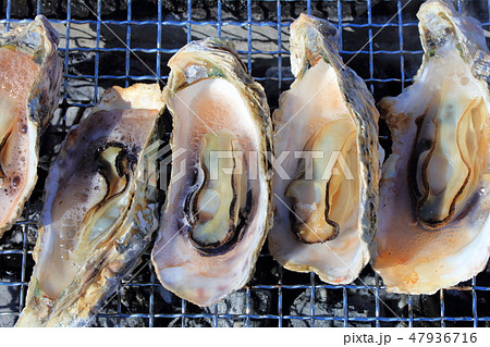 牡蠣・牡蛎・カキ_七輪で炭焼き 47936716