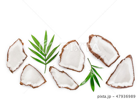 piece of coconut with leaves isolated on white background with copy space for your text. Top view piece of coconut with leaves isolated on white background with copy space for your text. Top view 47936989