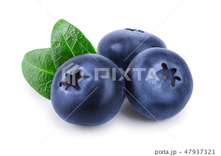 fresh blueberry with leaves isolated on white background closeup fresh blueberry with leaves isolated on white background closeup 47937321