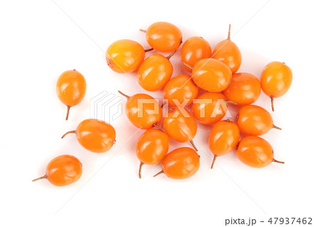 Sea buckthorn. Fresh ripe berry isolated on white background. Top view. Flat lay pattern Sea buckthorn. Fresh ripe berry isolated on white background. Top view. Flat lay pattern 47937462