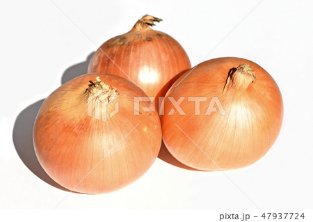 玉ネギ（北見黄） 47937724