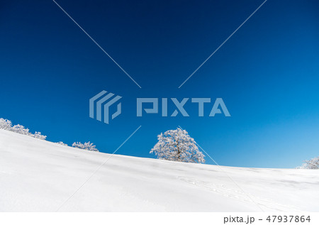 明神平の霧氷風景 47937864