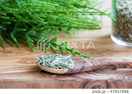 Fresh and dried horsetail on a wooden background 47937896