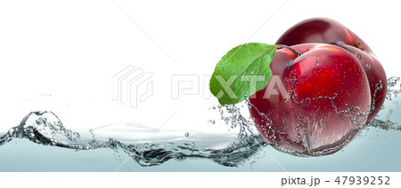 Ripe fruit plums in a spray of water Ripe fruit plums in a spray of water 47939252