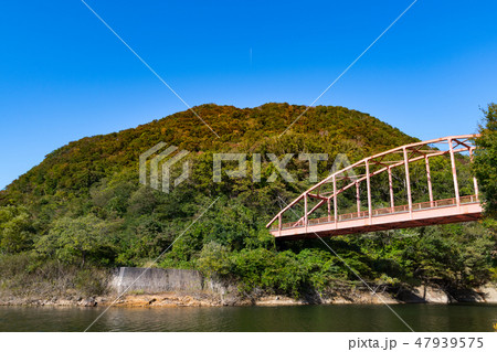 宮城大和町の南川ダムと紅葉の鎌倉山鎌倉橋 47939575