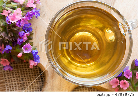 Cup of lungwort (pulmonaria) tea with fresh plant 47939778