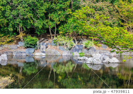 深山の泉 水鏡 47939811