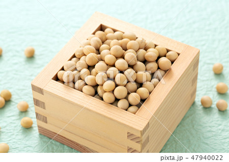 大豆 大豆 47940022