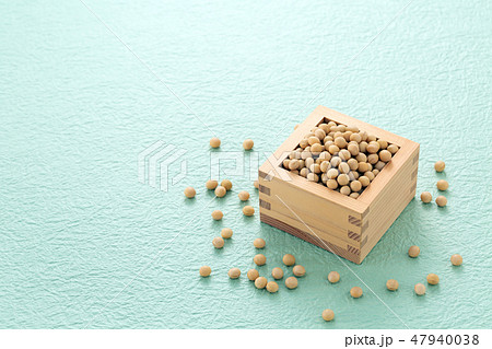 大豆 大豆 47940038