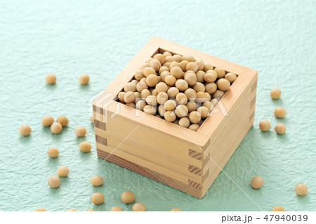 大豆 47940039