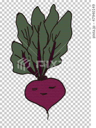 1甜菜 1甜菜 47940149