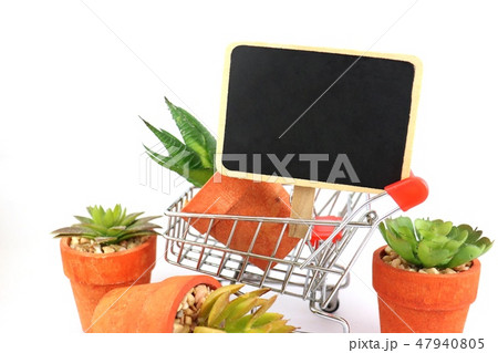 economy , business about nature and cactus , shopp economy , business about nature and cactus , shopp 47940805