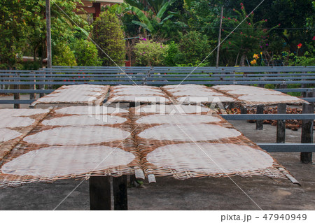 ベトナム カントー 天日干しされているライスペーパー ベトナム カントー 天日干しされているライスペーパー 47940949